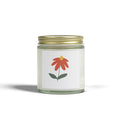 Scented Candles, Coconut Apricot Wax (4oz, 9oz)
